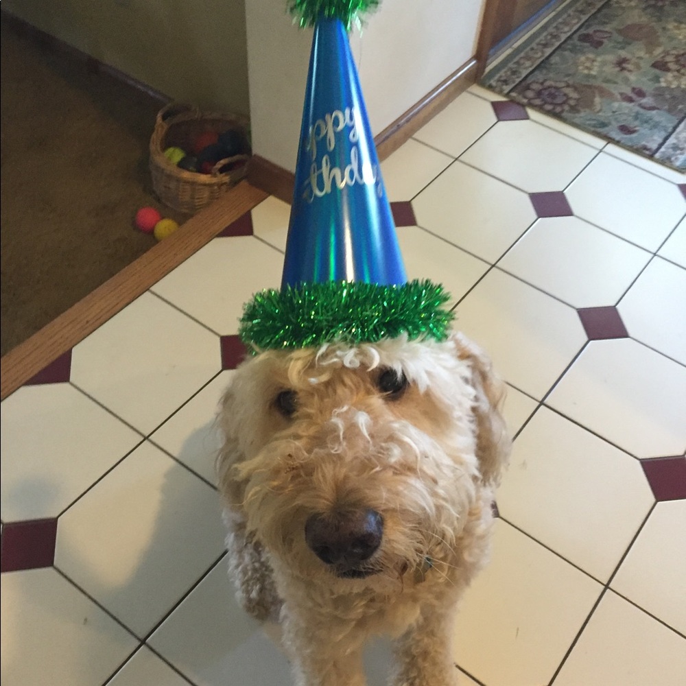 Meet your Posher, Joyce